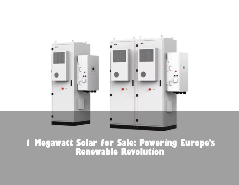 1 Megawatt Solar for Sale: Powering Europe's Renewable Revolution