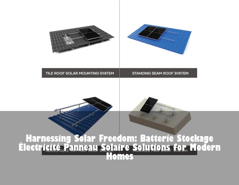 Harnessing Solar Freedom: Batterie Stockage Électricité Panneau Solaire Solutions for Modern Homes