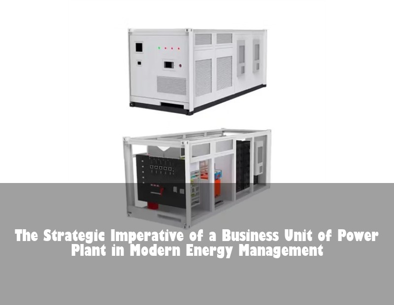 The Strategic Imperative of a Business Unit of Power Plant in Modern Energy Management