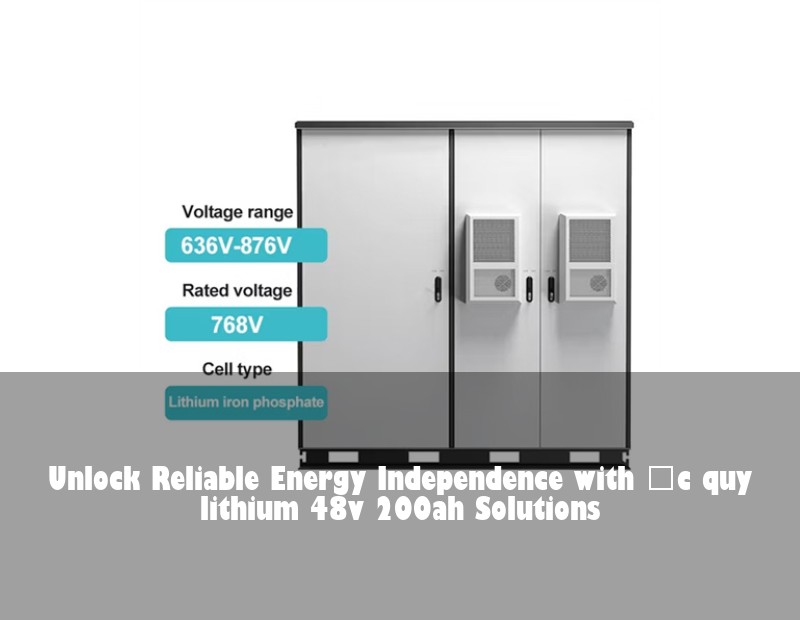 Unlock Reliable Energy Independence with ắc quy lithium 48v 200ah Solutions