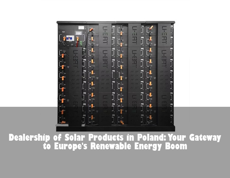 Dealership of Solar Products in Poland: Your Gateway to Europe's Renewable Energy Boom
