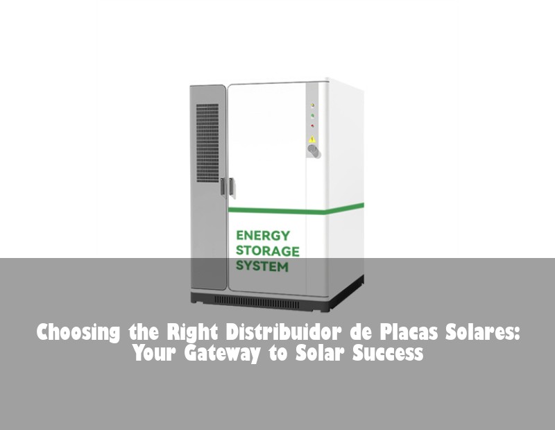 Choosing the Right Distribuidor de Placas Solares: Your Gateway to Solar Success