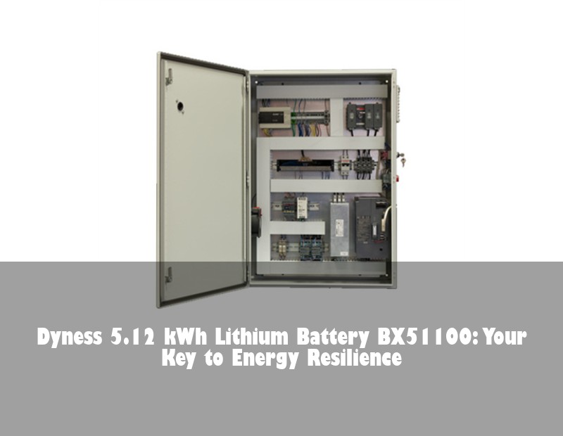 Dyness 5.12 kWh Lithium Battery BX51100: Your Key to Energy Resilience
