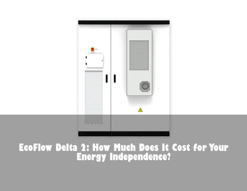 EcoFlow Delta 2: How Much Does It Cost for Your Energy Independence?