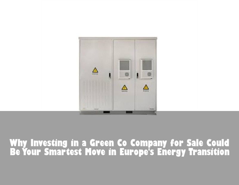 Why Investing in a Green Co Company for Sale Could Be Your Smartest Move in Europe's Energy Transition