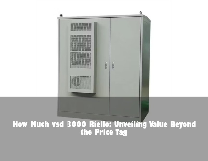 How Much vsd 3000 Riello: Unveiling Value Beyond the Price Tag