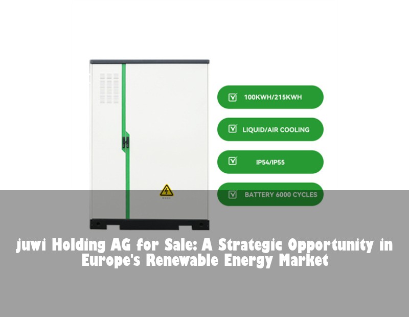 juwi Holding AG for Sale: A Strategic Opportunity in Europe's Renewable Energy Market | Huijue Solar