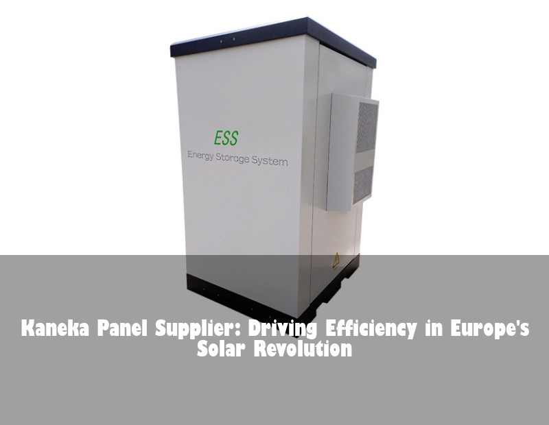 Kaneka Panel Supplier: Driving Efficiency in Europe's Solar Revolution