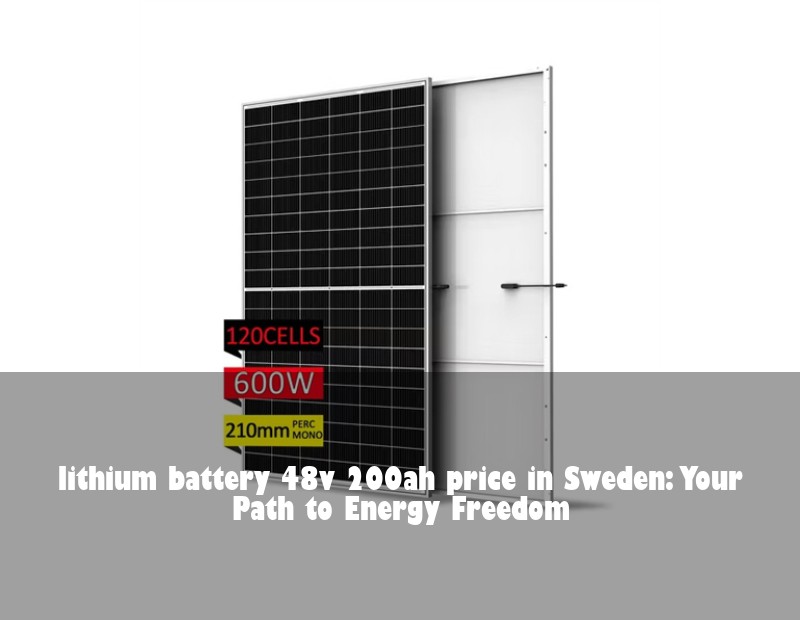 lithium battery 48v 200ah price in Sweden: Your Path to Energy Freedom
