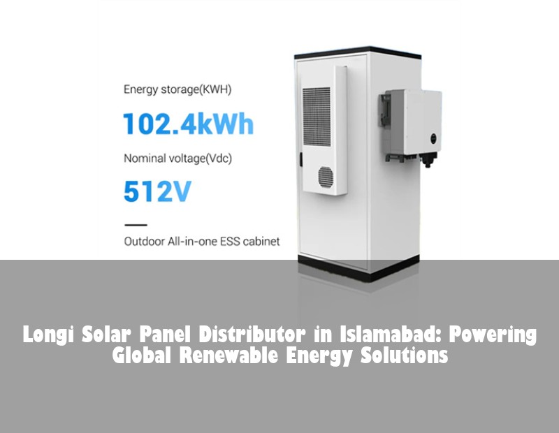 Longi Solar Panel Distributor in Islamabad: Powering Global Renewable Energy Solutions