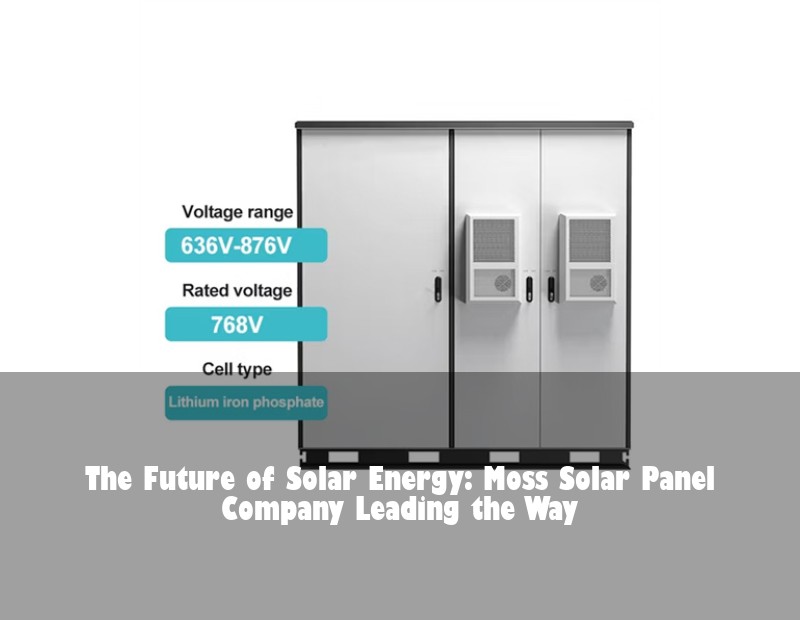 The Future of Solar Energy: Moss Solar Panel Company Leading the Way