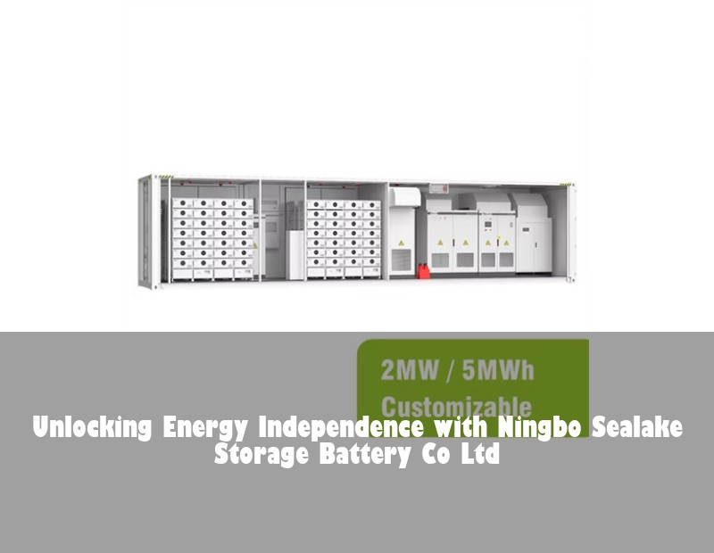 Unlocking Energy Independence with Ningbo Sealake Storage Battery Co Ltd