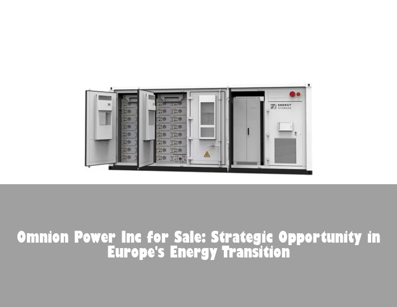 Omnion Power Inc for Sale: Strategic Opportunity in Europe's Energy Transition