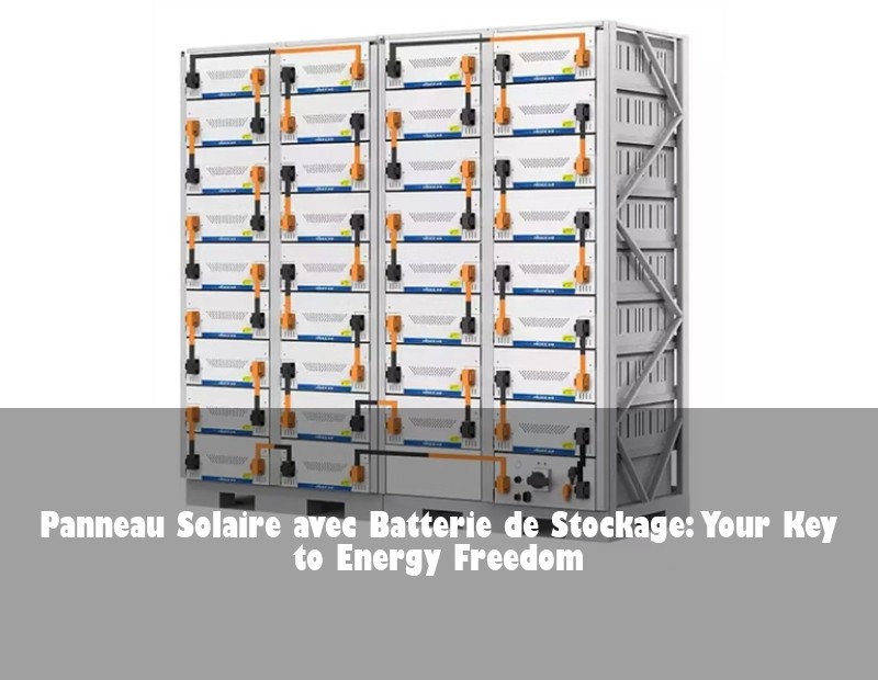 Panneau Solaire avec Batterie de Stockage: Your Key to Energy Freedom