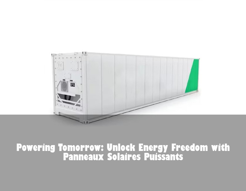 Powering Tomorrow: Unlock Energy Freedom with Panneaux Solaires Puissants