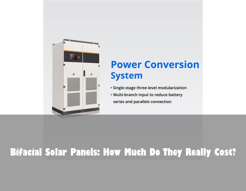 Bifacial Solar Panels: How Much Do They Really Cost?
