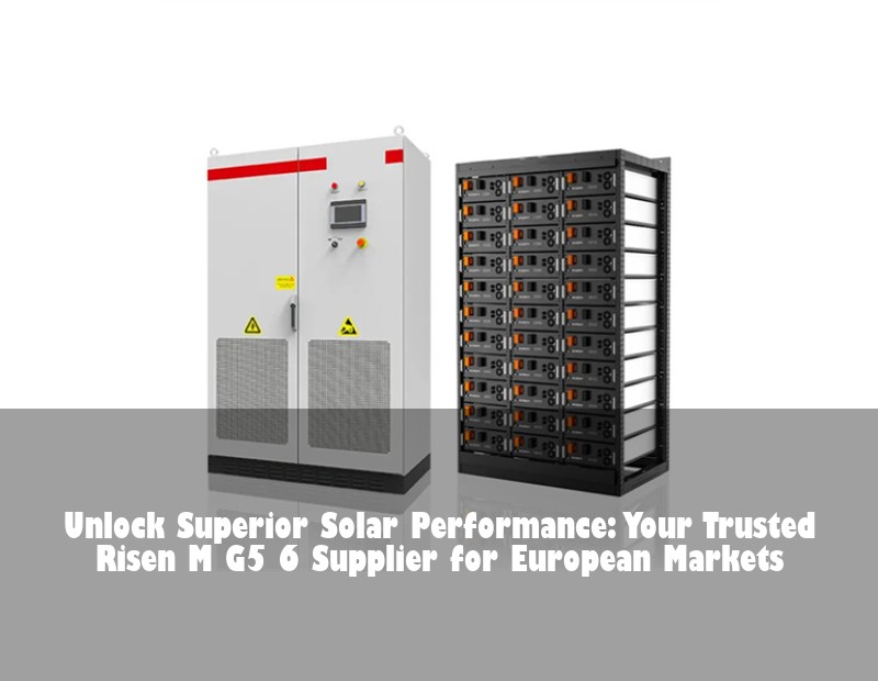 Unlock Superior Solar Performance: Your Trusted Risen M G5 6 Supplier for European Markets