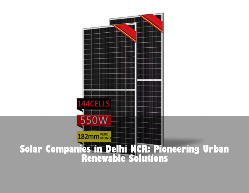 Solar Companies in Delhi NCR: Pioneering Urban Renewable Solutions