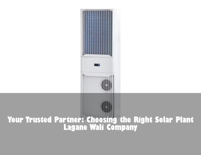 Your Trusted Partner: Choosing the Right Solar Plant Lagane Wali Company