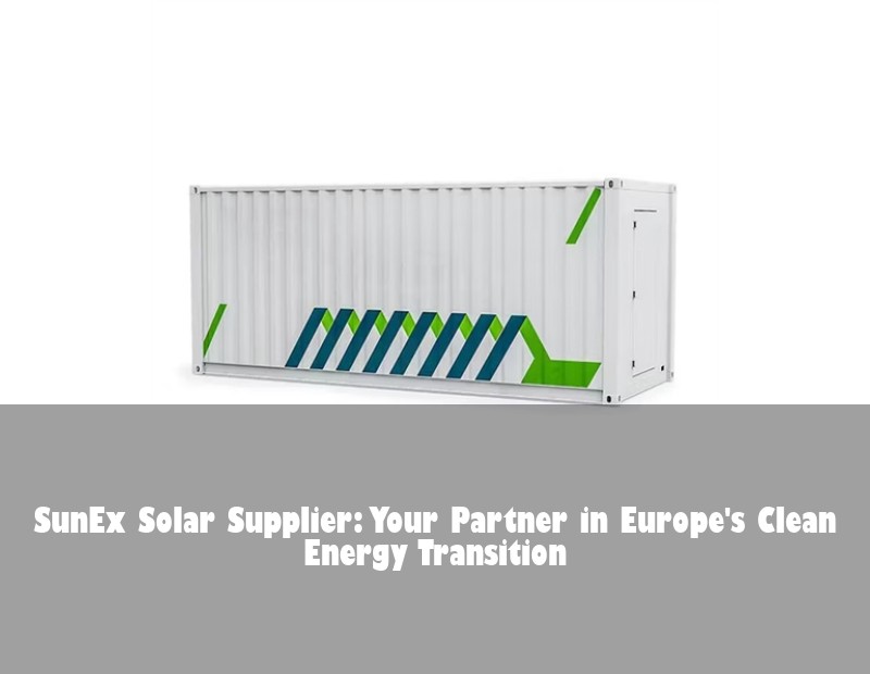 SunEx Solar Supplier: Your Partner in Europe's Clean Energy Transition