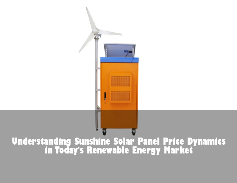 Understanding Sunshine Solar Panel Price Dynamics in Today's Renewable Energy Market | Huijue Solar