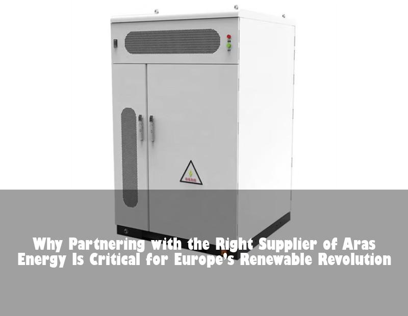 Why Partnering with the Right Supplier of Aras Energy Is Critical for Europe’s Renewable Revolution