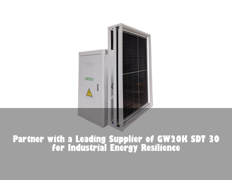 Partner with a Leading Supplier of GW20K SDT 30 for Industrial Energy Resilience