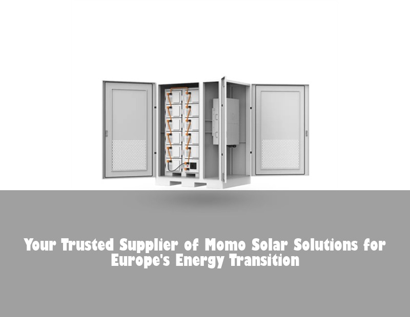 Your Trusted Supplier of Momo Solar Solutions for Europe's Energy Transition