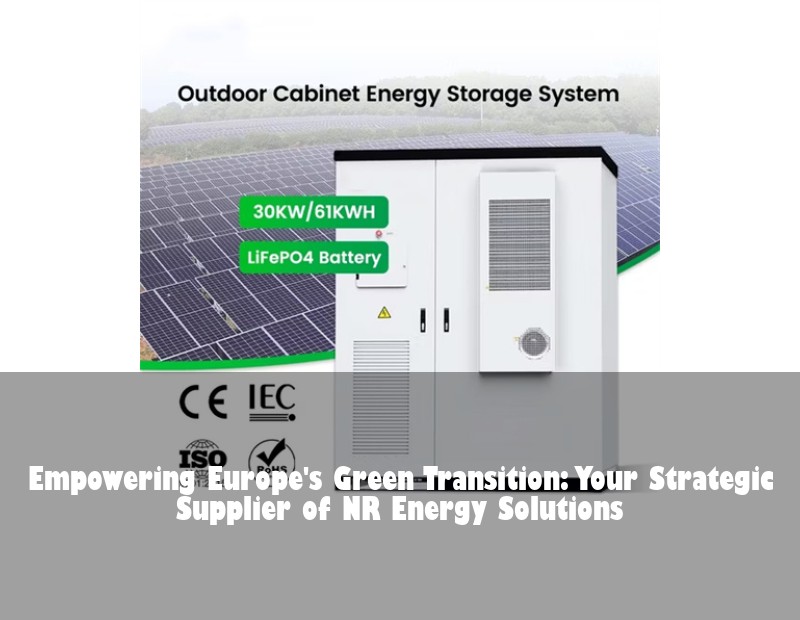 Empowering Europe's Green Transition: Your Strategic Supplier of NR Energy Solutions