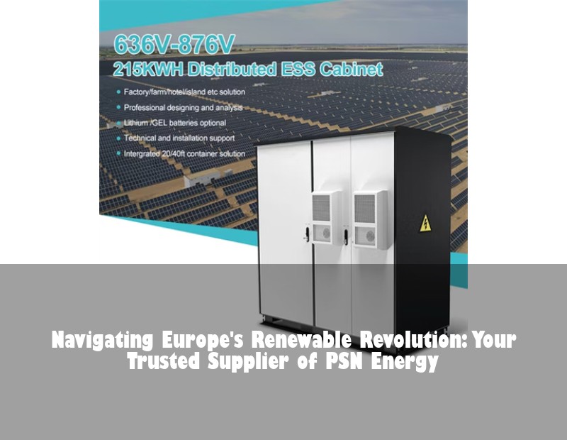 Navigating Europe's Renewable Revolution: Your Trusted Supplier of PSN Energy