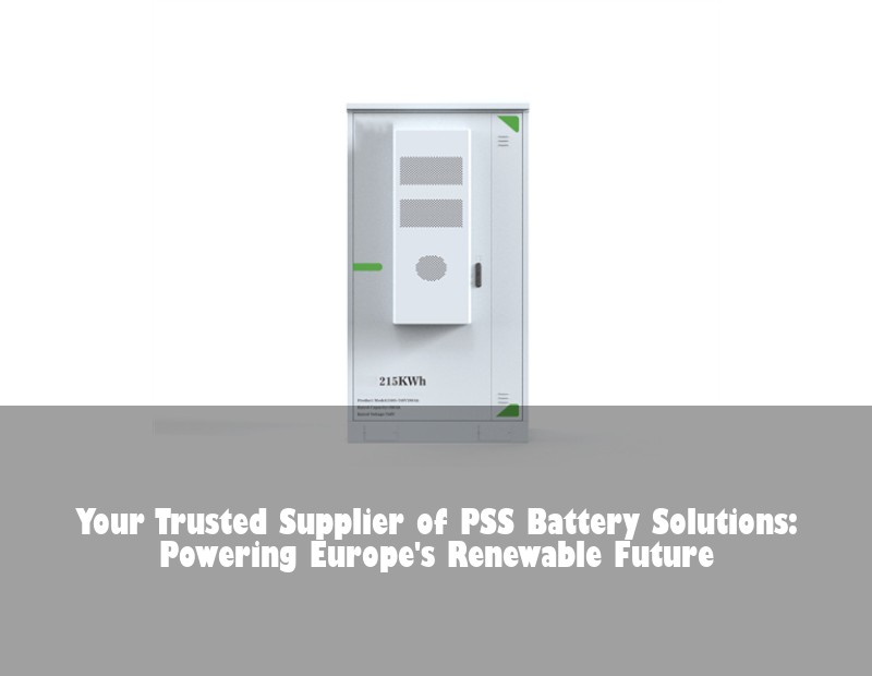 Your Trusted Supplier of PSS Battery Solutions: Powering Europe's Renewable Future
