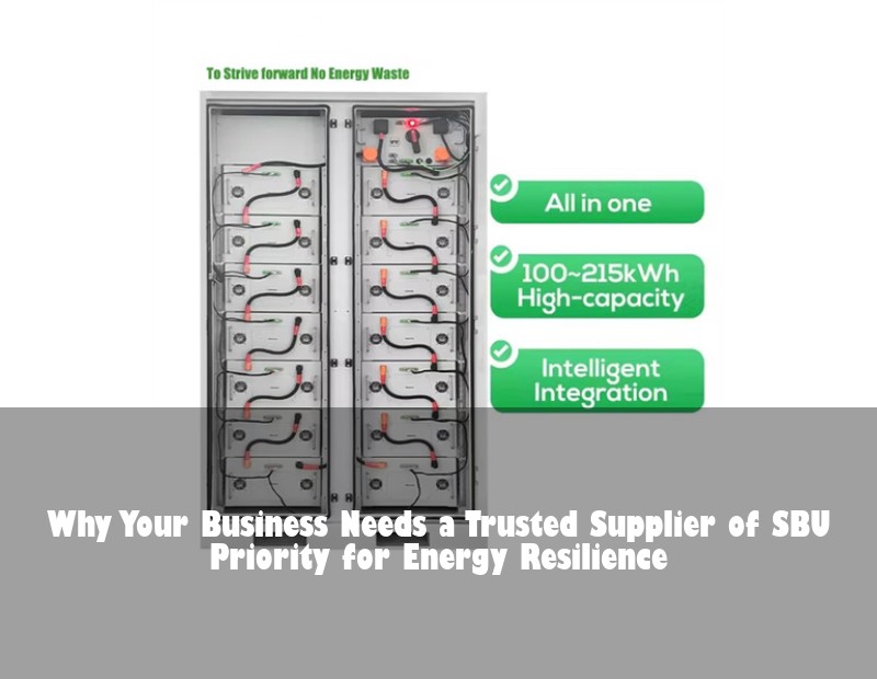 Why Your Business Needs a Trusted Supplier of SBU Priority for Energy Resilience