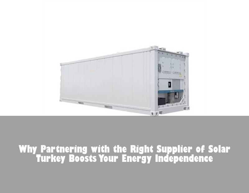 Why Partnering with the Right Supplier of Solar Turkey Boosts Your Energy Independence
