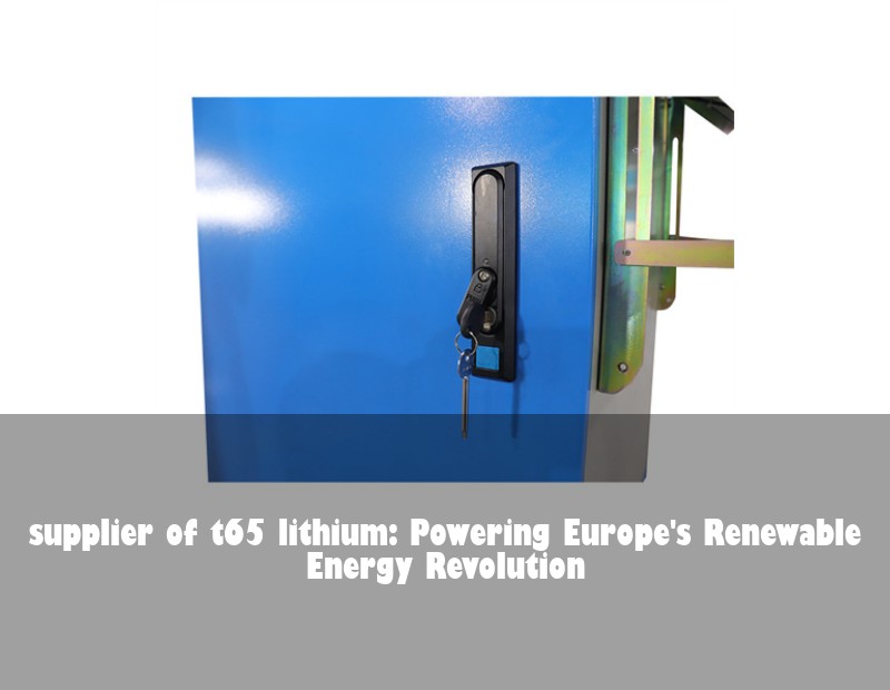 supplier of t65 lithium: Powering Europe's Renewable Energy Revolution