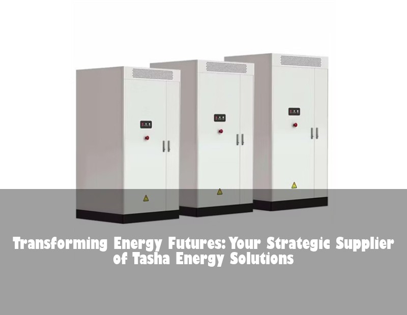Transforming Energy Futures: Your Strategic Supplier of Tasha Energy Solutions