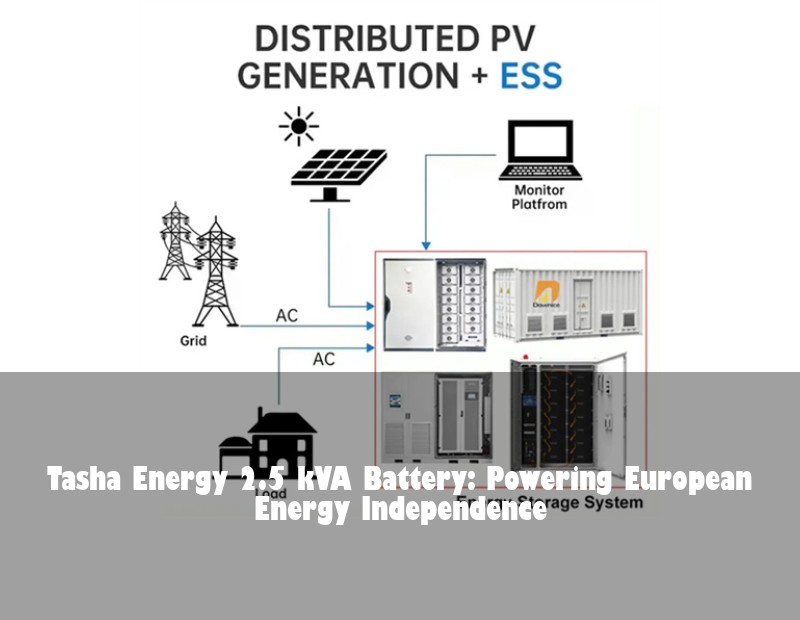 Tasha Energy 2.5 kVA Battery: Powering European Energy Independence