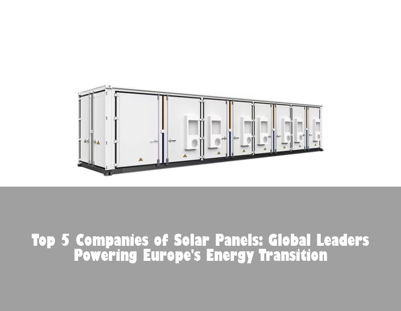 Top 5 Companies of Solar Panels: Global Leaders Powering Europe's Energy Transition