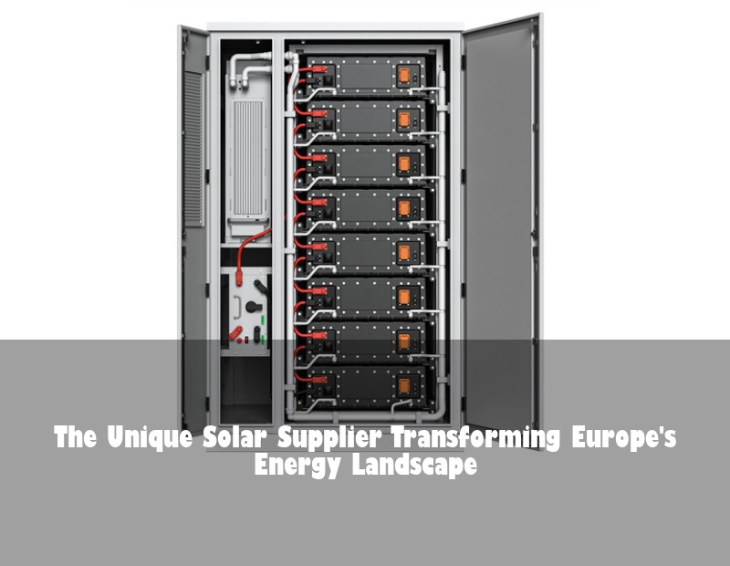 The Unique Solar Supplier Transforming Europe's Energy Landscape