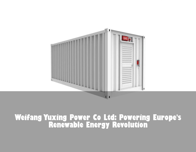 Weifang Yuxing Power Co Ltd: Powering Europe's Renewable Energy Revolution