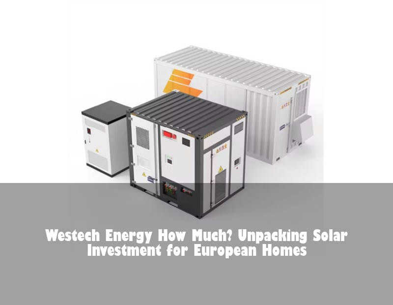 Westech Energy How Much? Unpacking Solar Investment for European Homes | Huijue Solar
